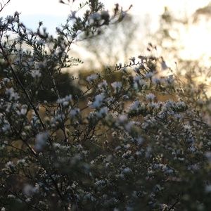 Meet your Posher, Megsn